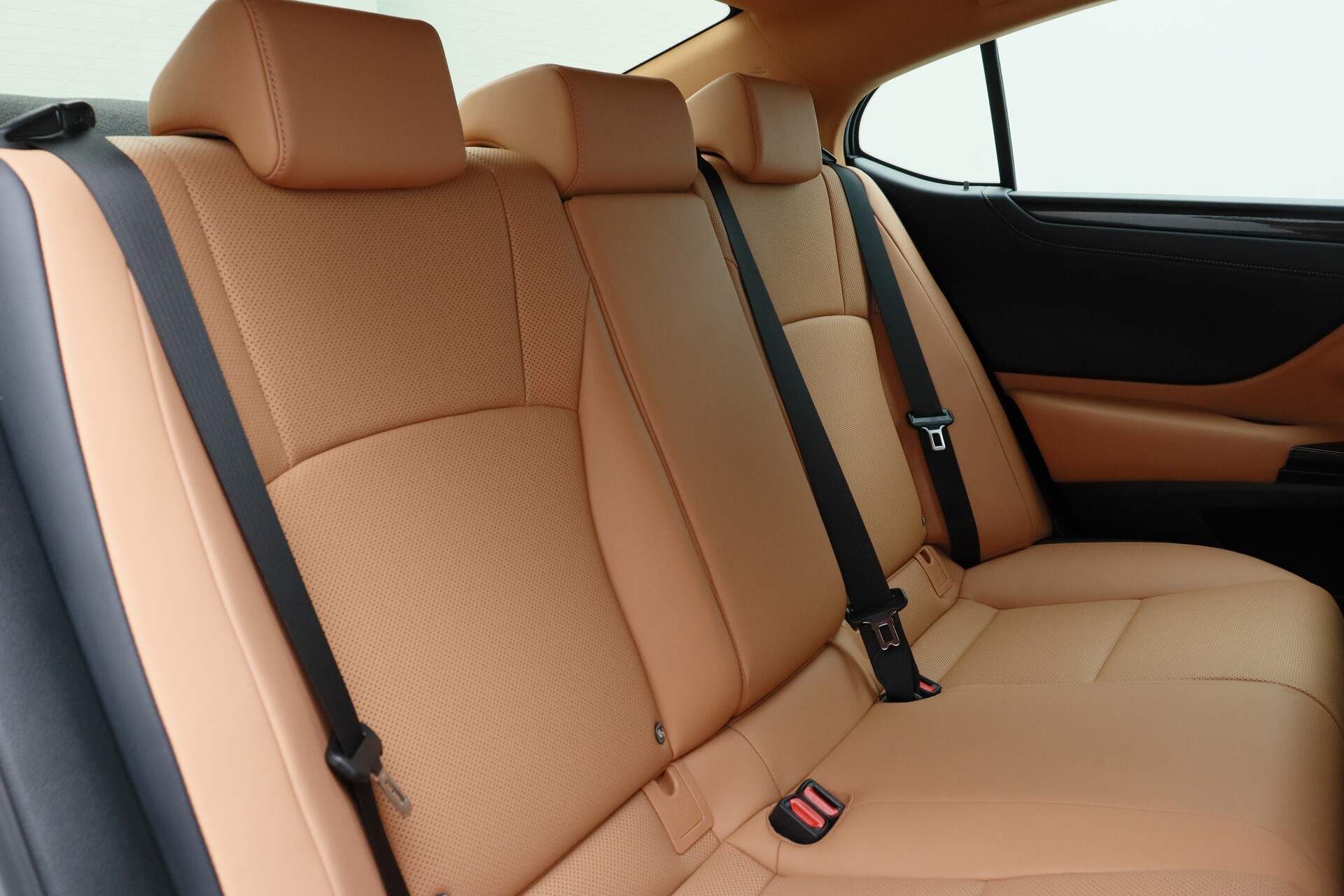 Wristwatch by Ted Baker London