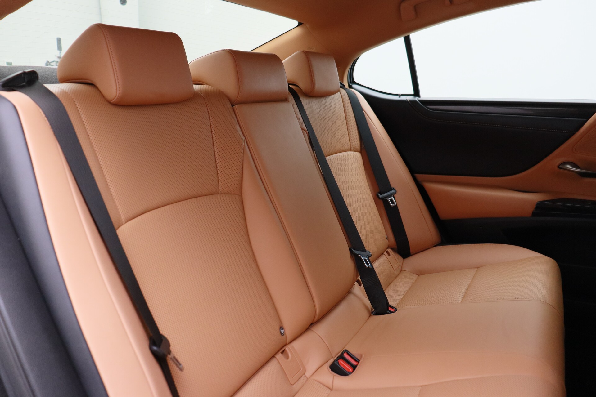 Wristwatch by Ted Baker London