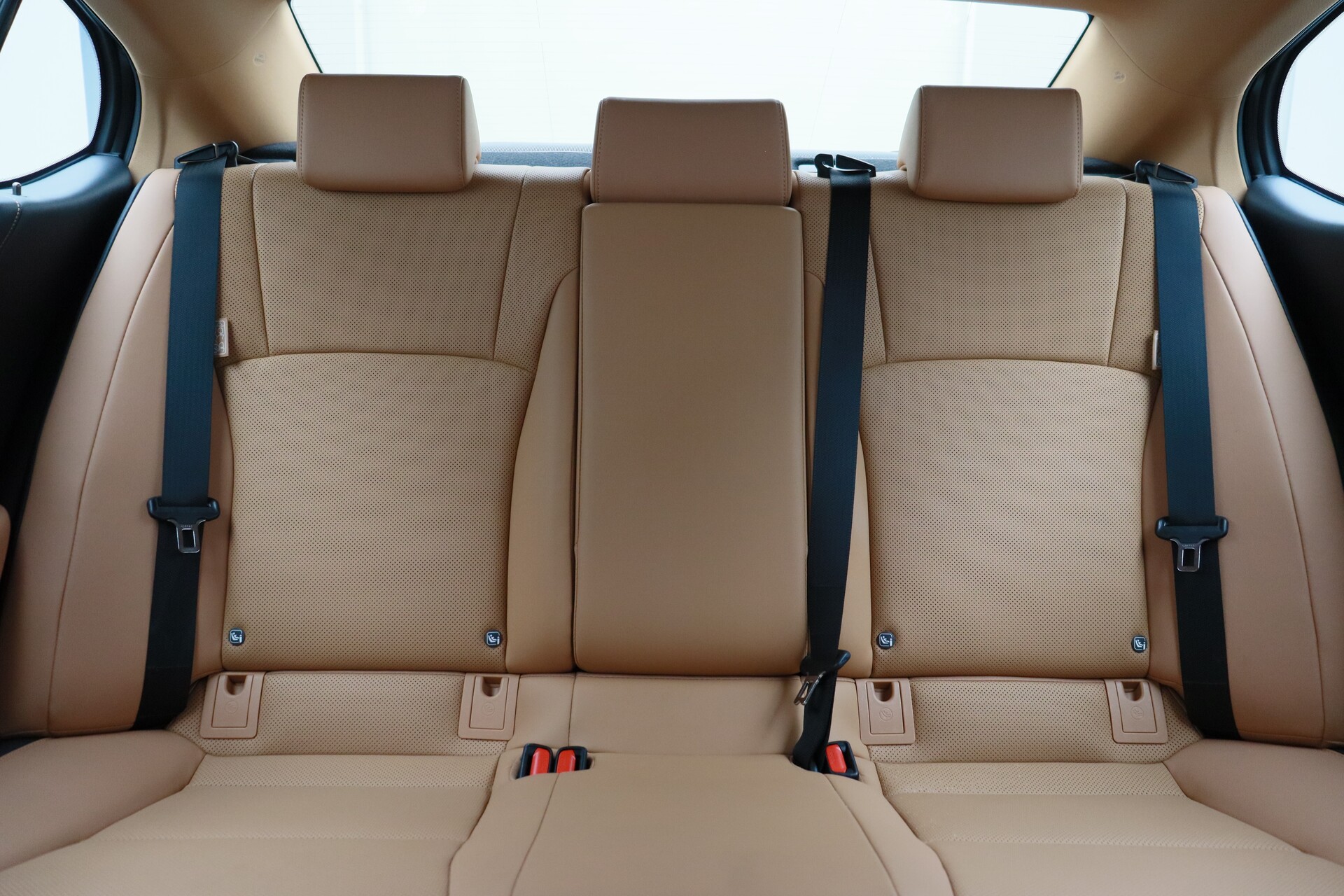 Wristwatch by Ted Baker London