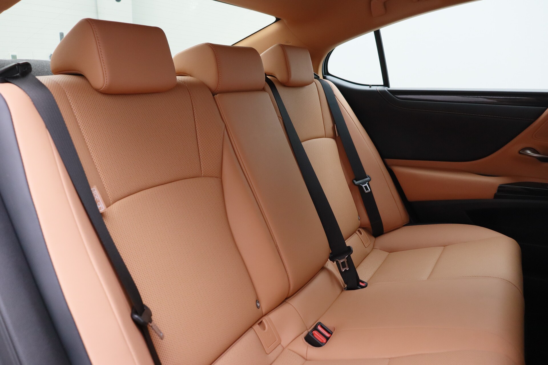 Wristwatch by Ted Baker London