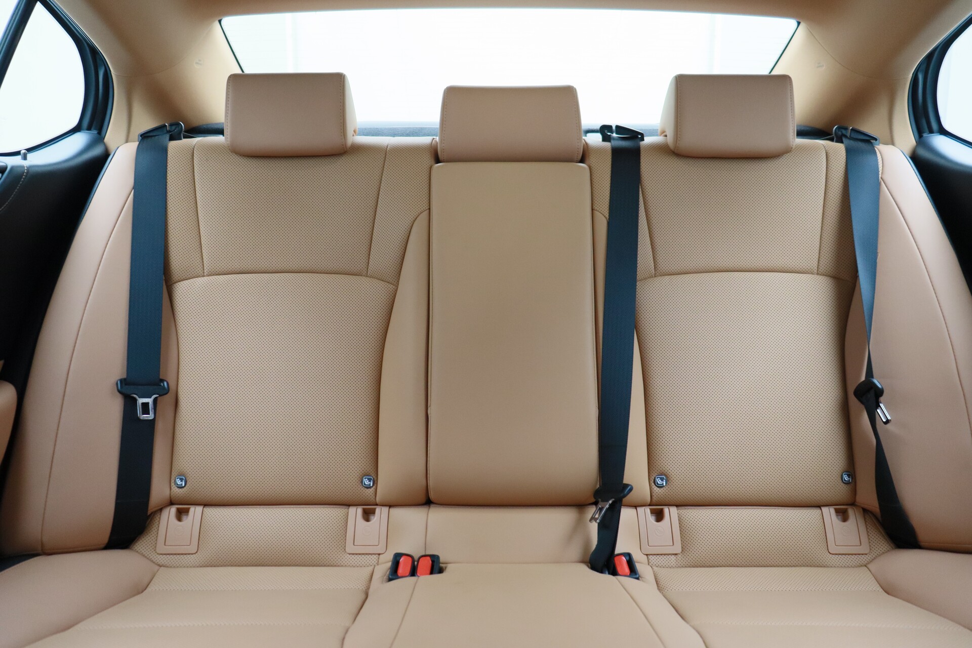 Wristwatch by Ted Baker London